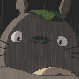 Totoroooo